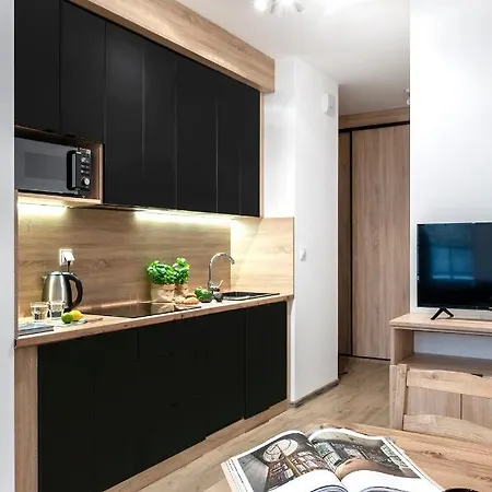 Shortstaypoland Krzemieniecka Апартаменты *